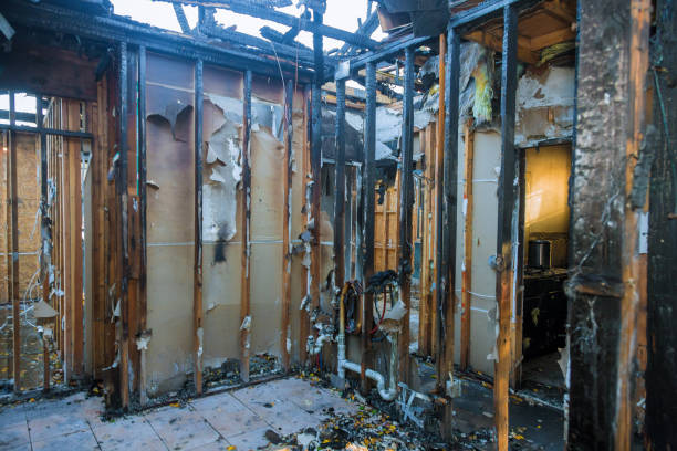Professional Odor Removal technician working in Daleville, VA